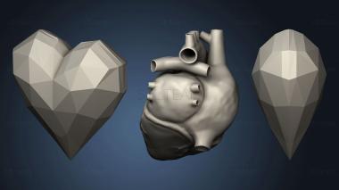 3D model Corazon (STL)